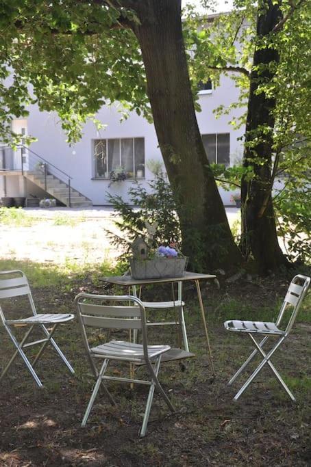 Gite St Nicolas Ancien Corps De Ferme Horticole Freyming-Merlebach 外观 照片